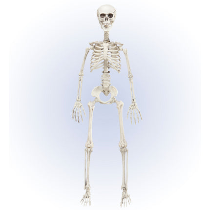 Scheletro di Halloween mobile 90 cm
