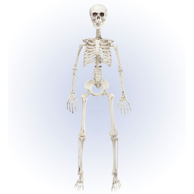 Scheletro di Halloween mobile 90 cm