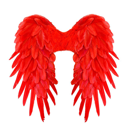 Piume di Red Wings 50 cm