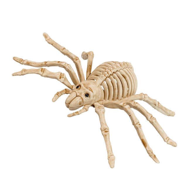 Scheletro finto di ragno di Halloween 24 cm