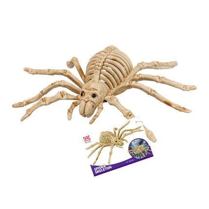 Scheletro finto di ragno di Halloween 24 cm