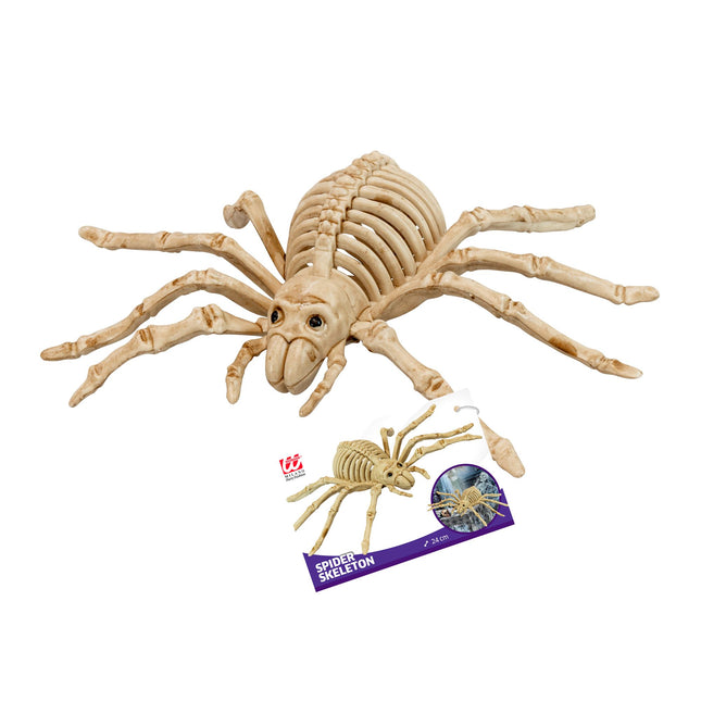 Scheletro finto di ragno di Halloween 24 cm