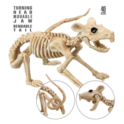 Scheletro di Halloween Ratto 40 cm