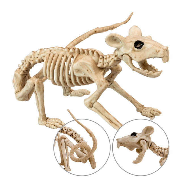 Scheletro di Halloween Ratto 40 cm