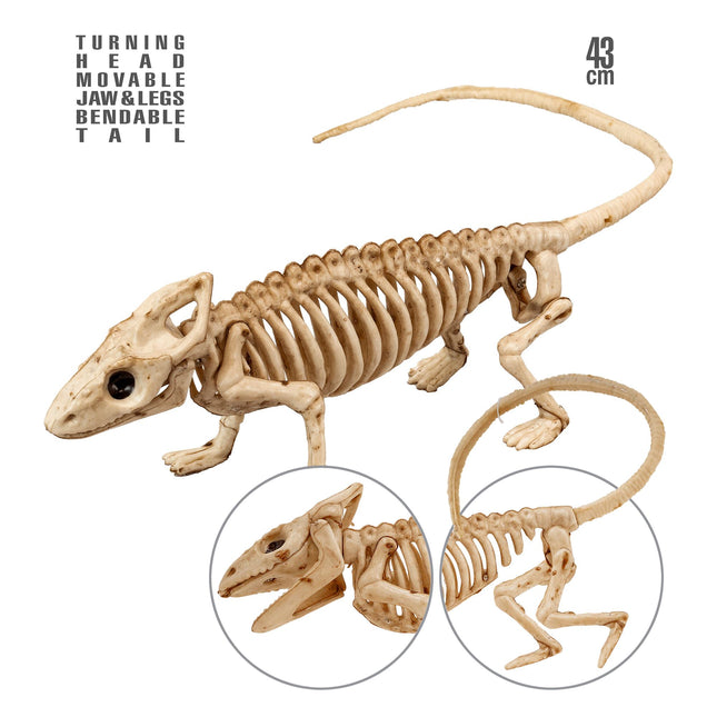 Scheletro di Halloween Iguana 43 cm