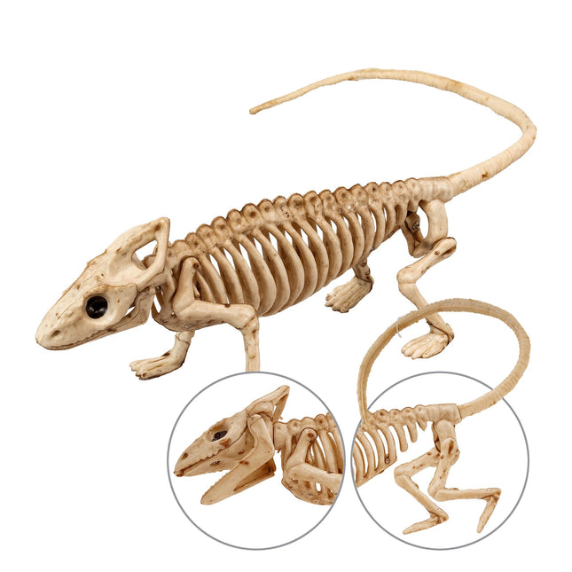 Scheletro di Halloween Iguana 43 cm