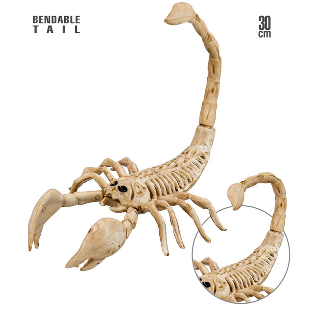 Scheletro Scorpione di Halloween 30 cm