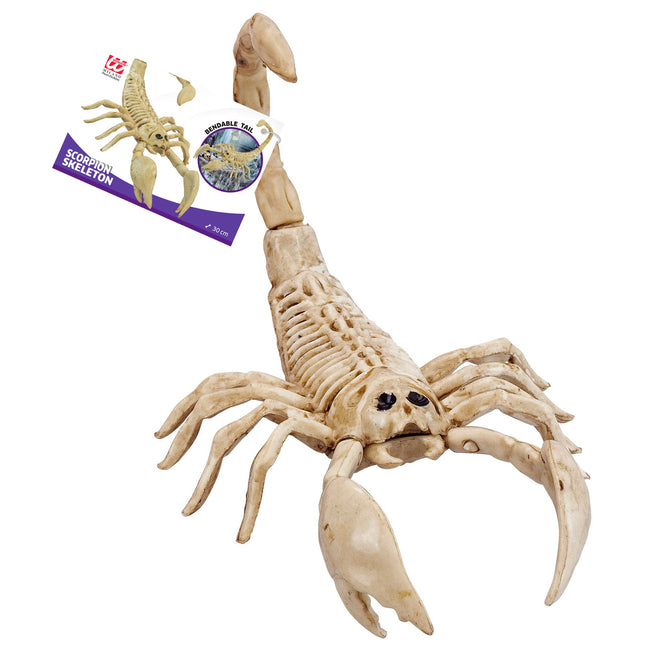 Scheletro Scorpione di Halloween 30 cm