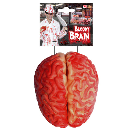 Cervello finto rosso con sangue