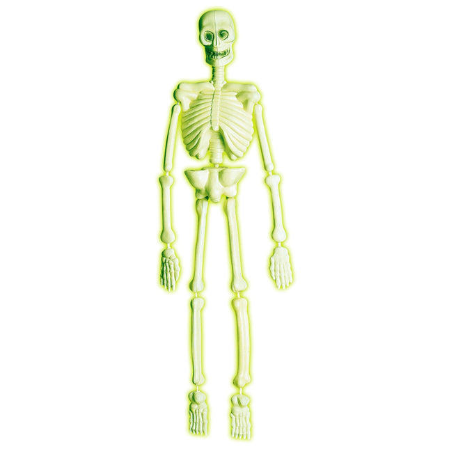 Laboratorio Scheletro Halloween 90 cm