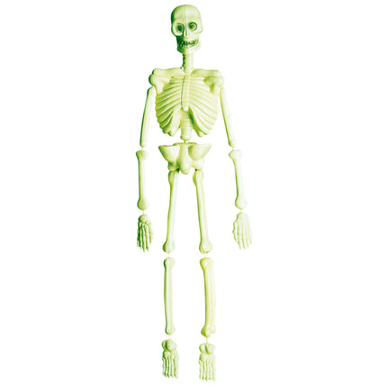 Laboratorio Scheletro Halloween 90 cm