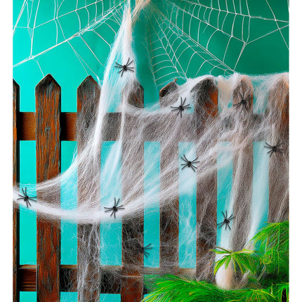 Ragnatela di Halloween con ragni 10 pezzi