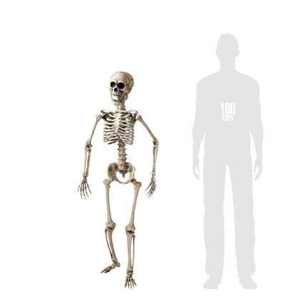 Scheletro di Halloween bianco 1,6 m