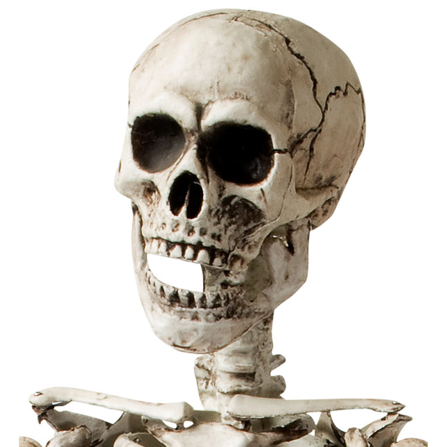 Scheletro di Halloween bianco 1,6 m