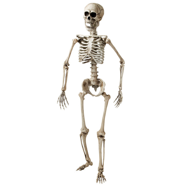 Scheletro di Halloween bianco 1,6 m