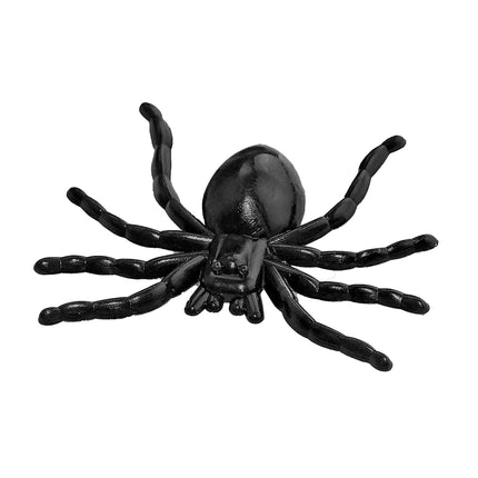 Ragno finto di Halloween 60 pezzi