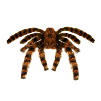 Ragno finto di Halloween 65 cm