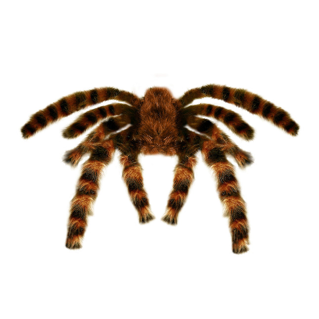 Ragno finto di Halloween 65 cm