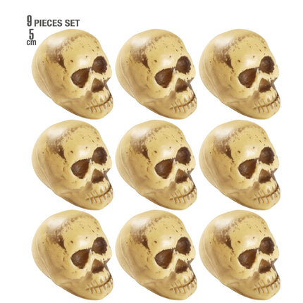 Teschio di Halloween 9 pezzi