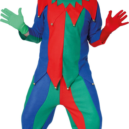 Costume da giullare