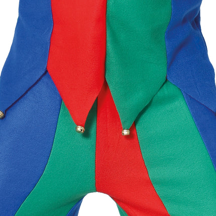 Costume da giullare