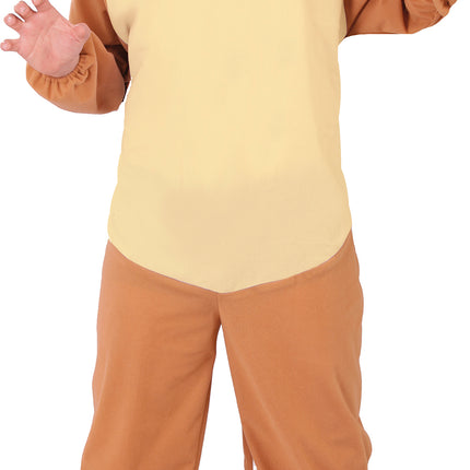 Costume da Leone