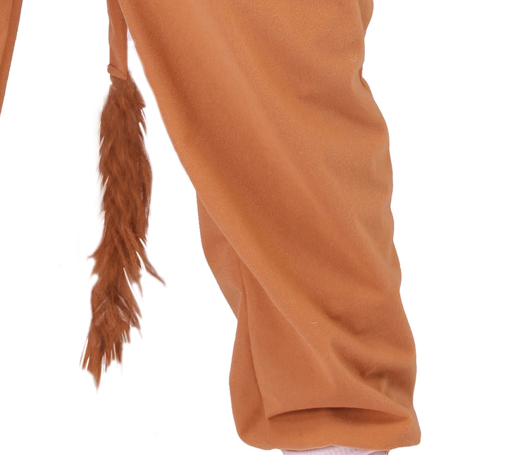 Costume da Leone