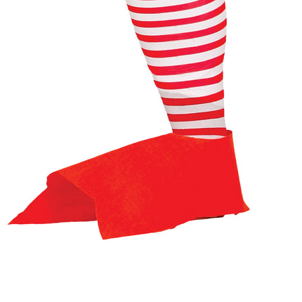 Costume da pollo