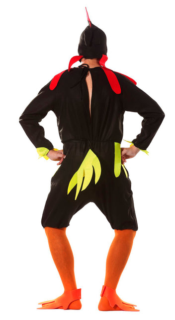 Costume da gallo L