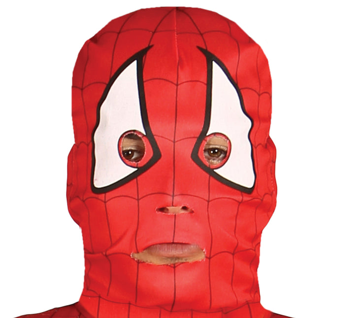 Costume da Uomo Ragno