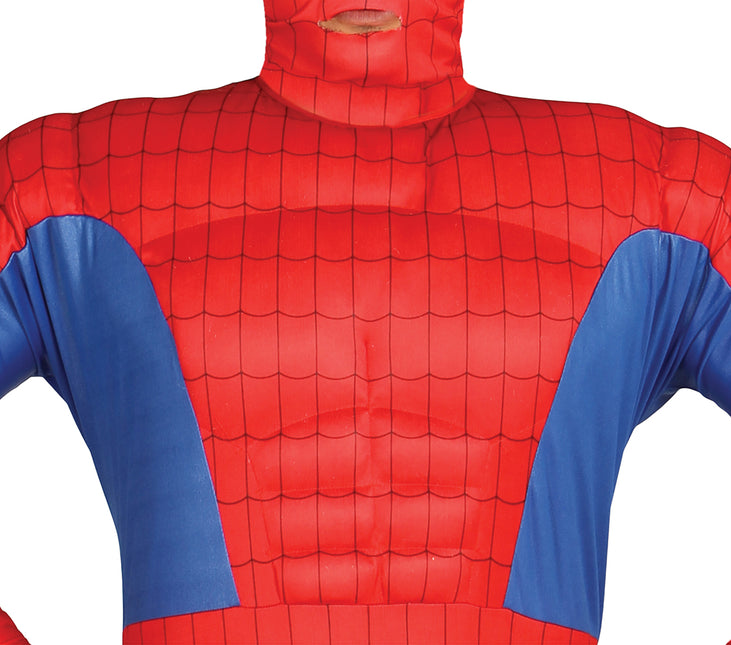 Costume da Uomo Ragno