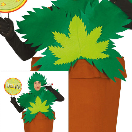 Costume da pianta di canna L