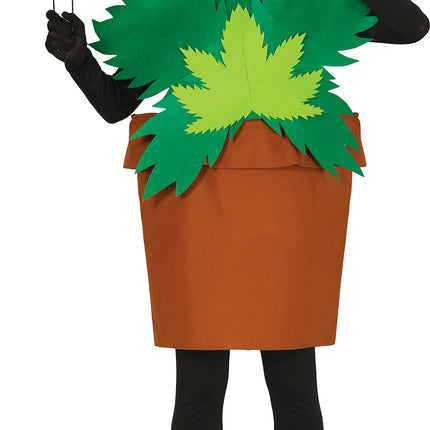 Costume da pianta di canna L