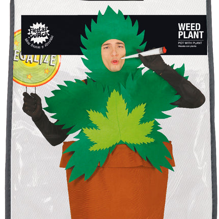 Costume da pianta di canna L