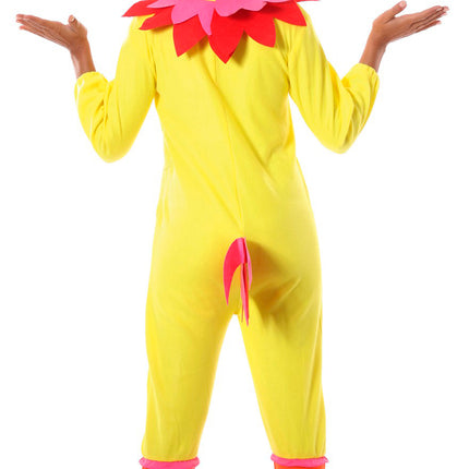 Abito da pollo Donna
