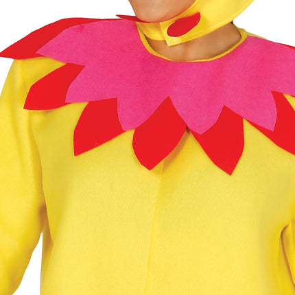 Abito da pollo Donna