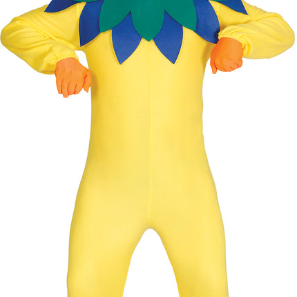 Costume da pollo