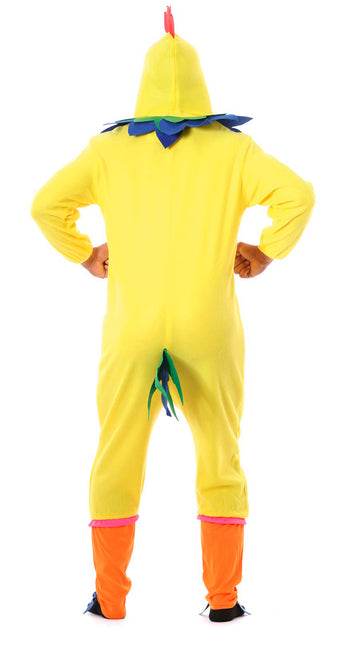 Costume da pollo