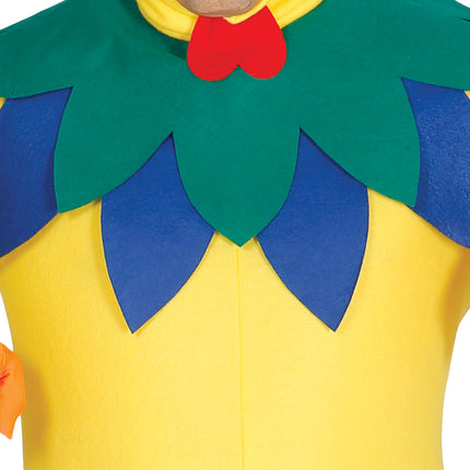 Costume da pollo