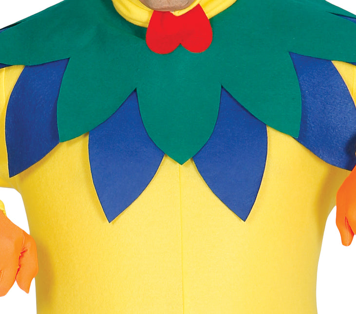 Costume da pollo