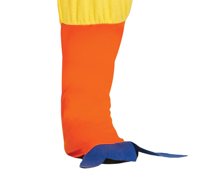 Costume da pollo