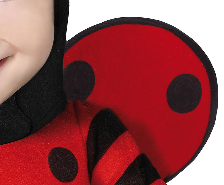 Costume da coccinella per bambino