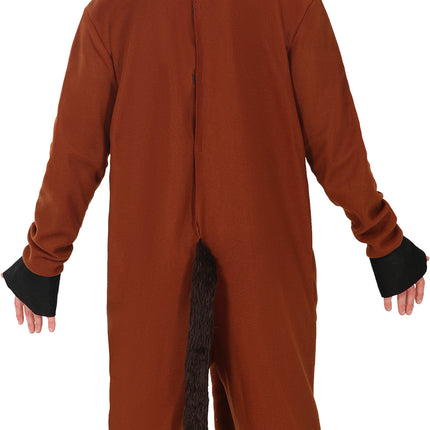 Abito da cavallo marrone