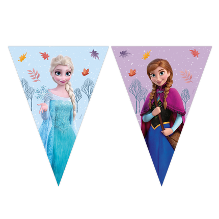 Ghirlanda di carta Frozen Idyllic Wonder
