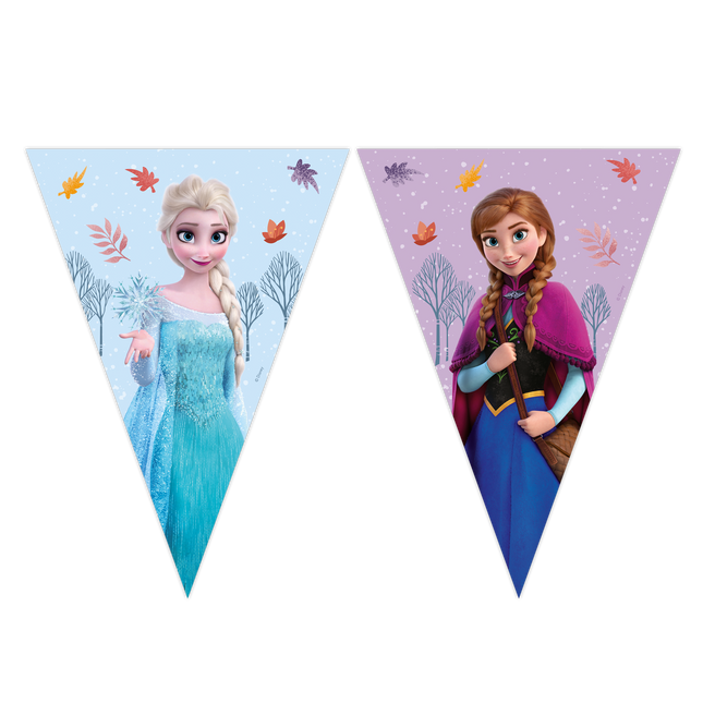 Ghirlanda di carta Frozen Idyllic Wonder