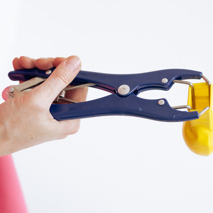 Pinza per dilatazione con palloncino blu 21,3 cm