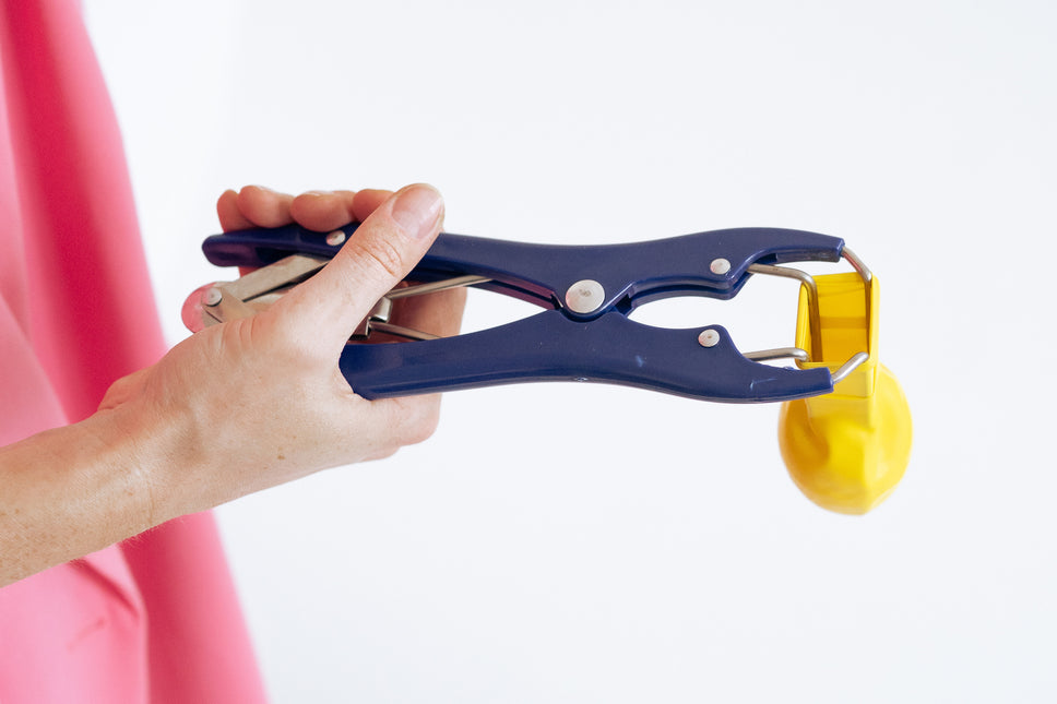 Pinza per dilatazione con palloncino blu 21,3 cm