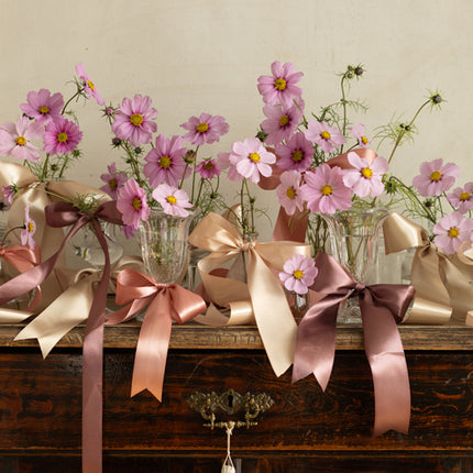 Nastro rosa 50Mm 25m