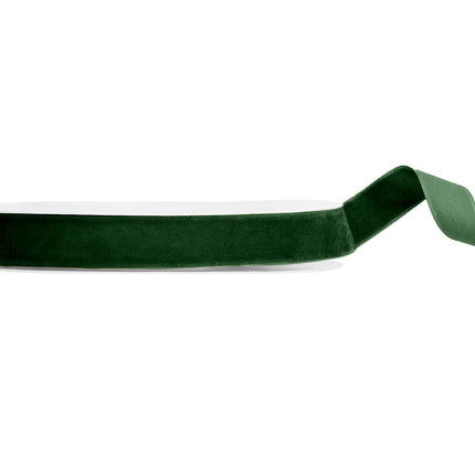 Nastro Verde Velour 10m