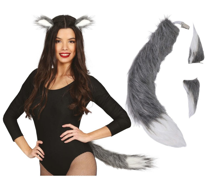 Accessoireset Vos 2 delig van Fiestas Guirca koop je bij Partywinkel